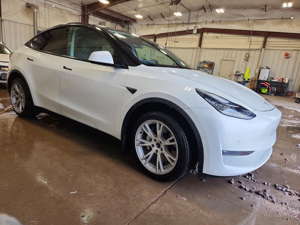 52768096 :رقم المزاد ، 5YJYGDEE0MF190416 vin ، 2021 Tesla Model Y مزاد بيع