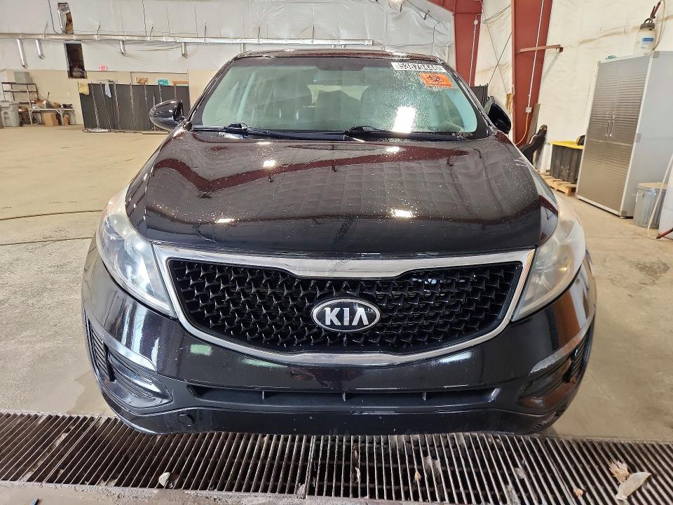Продаж на аукціоні авто 2016 Kia Sportage, vin: KNDPBCAC6G7853944, номер лоту: 53879446