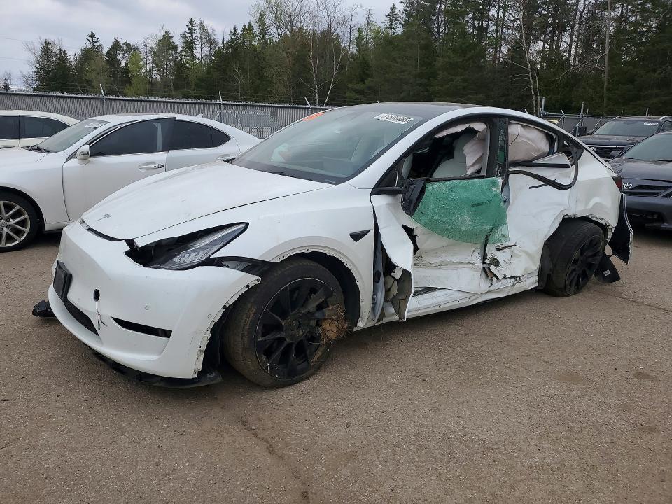 Продажа на аукционе авто 2022 Tesla Model Y, vin: 7SAYGDEE8NF361840, номер лота: 51596486