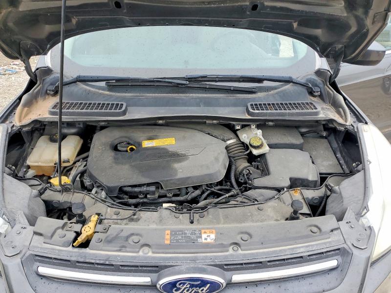 2015 Ford Escape მანქანა იყიდება აუქციონზე, vin: 1FMCU0GX7FUC88584, აუქციონის ნომერი: 53816746