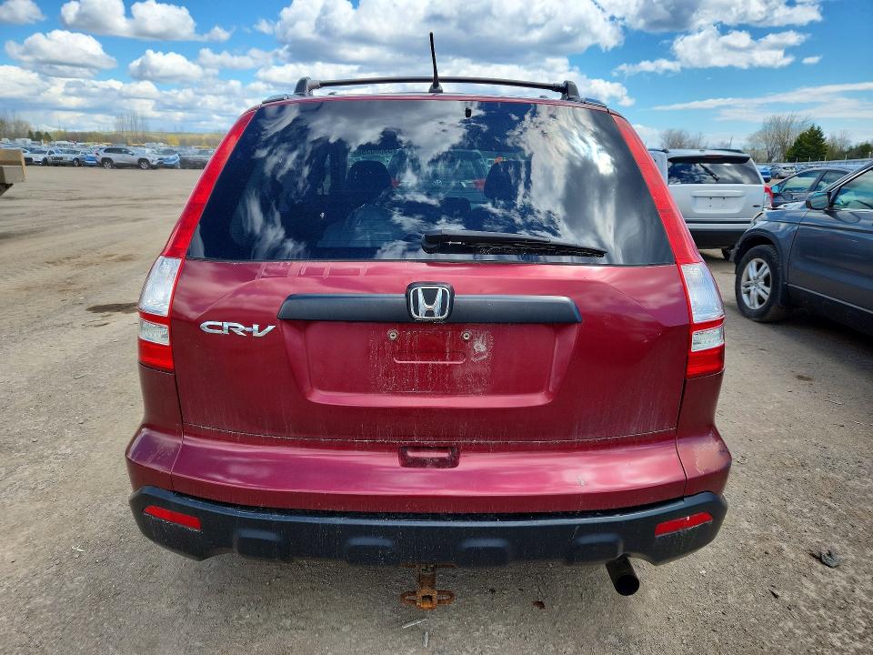 Продаж на аукціоні авто 2009 Honda Cr-v, vin: 5J6RE38349L801304, номер лоту: 53000356