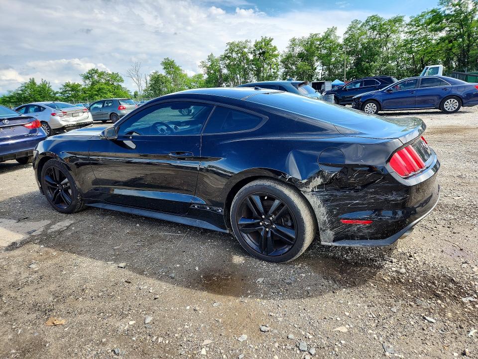 54822696 :رقم المزاد ، 1FA6P8TH3F5336278 vin ، 2015 Ford Mustang مزاد بيع