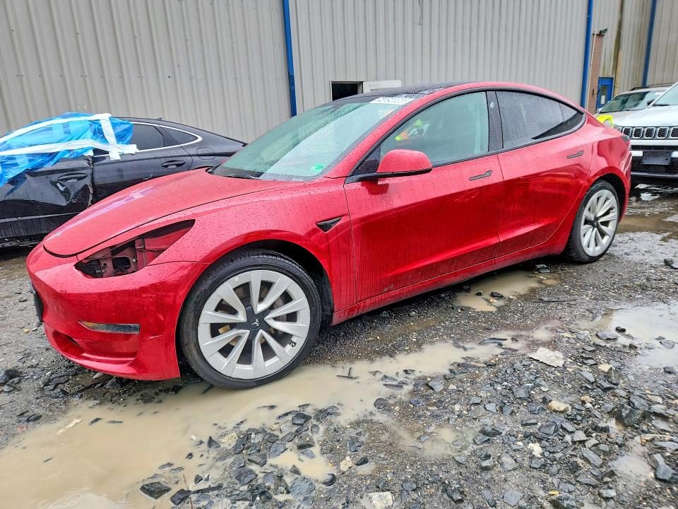 Auction sale of the 2023 Tesla Model 3, vin: 5YJ3E1EA4PF439008, lot number: 54854666
