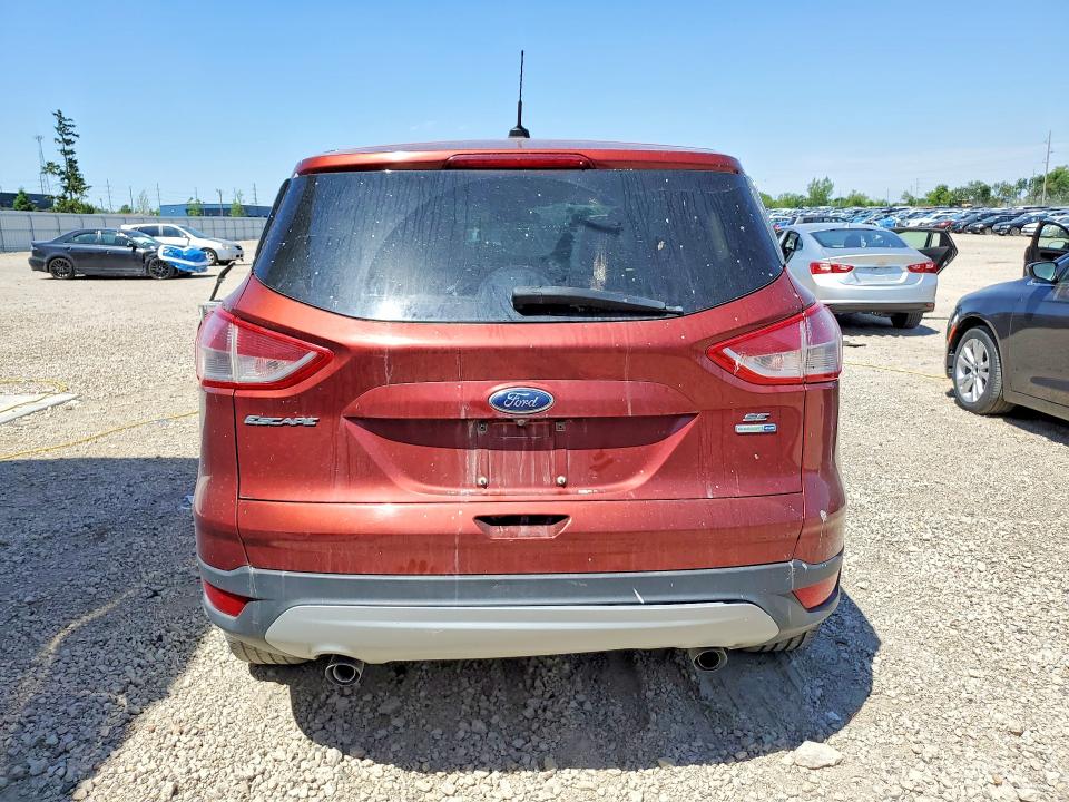 Продаж на аукціоні авто 2014 Ford Escape, vin: 1FMCU9G9XEUA62897, номер лоту: 53985656