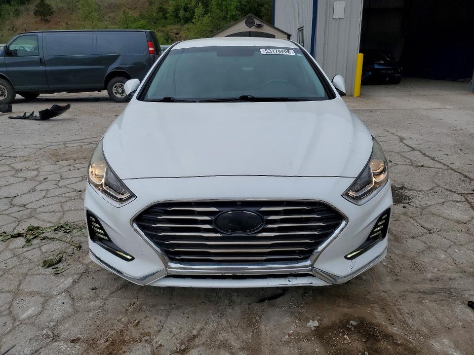 2018 Hyundai Sonata მანქანა იყიდება აუქციონზე, vin: 5NPE34AF1JH649995, აუქციონის ნომერი: 53178806