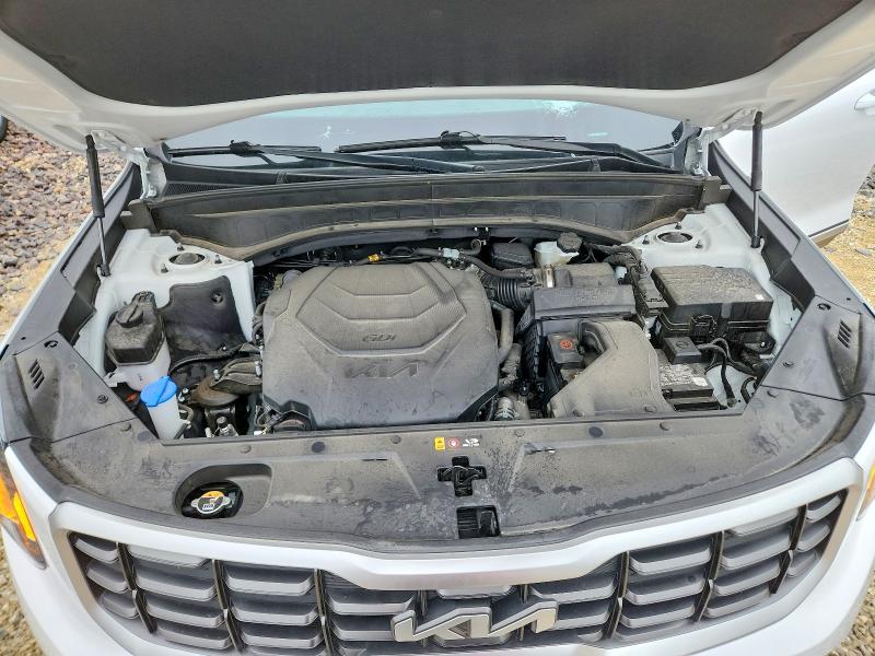 Aukcja sprzedaży 2024 Kia Telluride, vin: 5XYP6DGC6RG528234, numer aukcji: 54204946