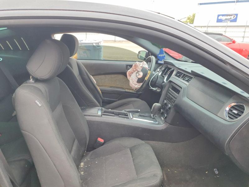 Продаж на аукціоні авто 2014 Ford Mustang, vin: 1ZVBP8AM9E5287916, номер лоту: 54280936