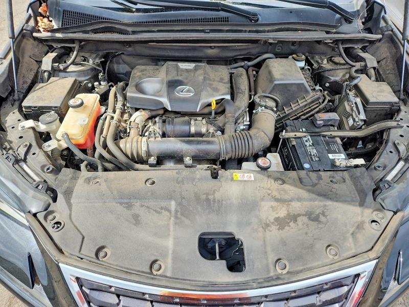 Продаж на аукціоні авто 2020 Lexus Nx, vin: JTJDARDZ1L2223259, номер лоту: 53776516