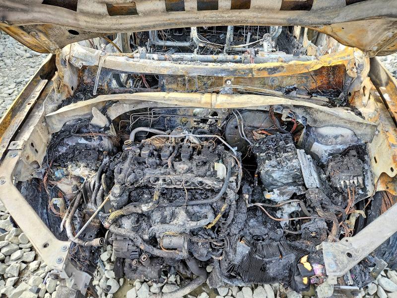 54609466 :رقم المزاد ، 3VV4B7AX7RM117022 vin ، 2024 Volkswagen Tiguan مزاد بيع