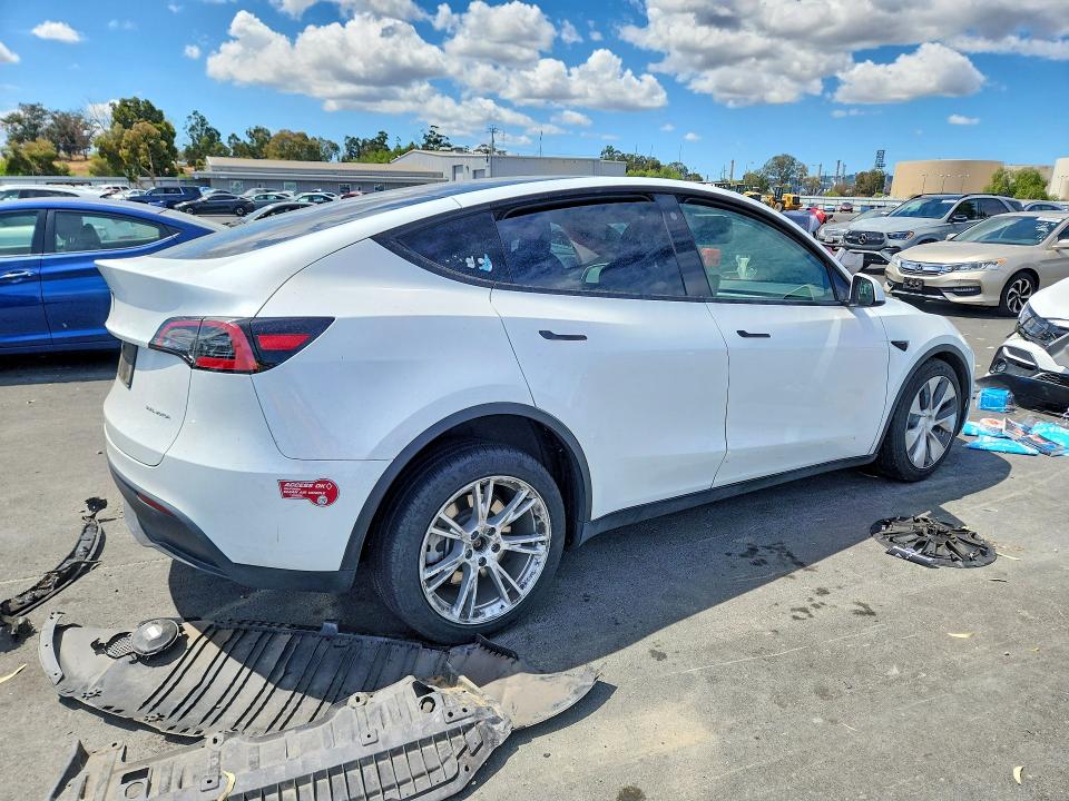 Продаж на аукціоні авто 2023 Tesla Model Y, vin: 7SAYGDEE0PA083337, номер лоту: 54985296