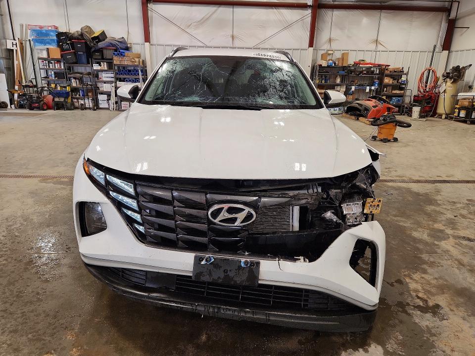 2024 Hyundai Tucson მანქანა იყიდება აუქციონზე, vin: 5NMJBCDE2RH421821, აუქციონის ნომერი: 54532486