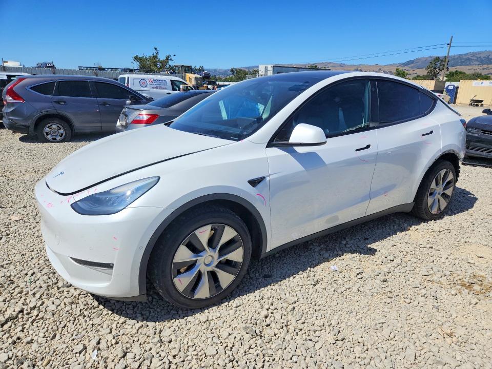2021 Tesla Model Y მანქანა იყიდება აუქციონზე, vin: 5YJYGDEE8MF181009, აუქციონის ნომერი: 53653566