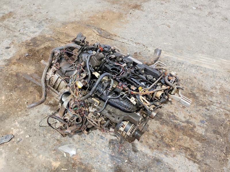 54822886 :رقم المزاد ، SHHFK7H69KU210234 vin ، 2019 Honda Civic مزاد بيع