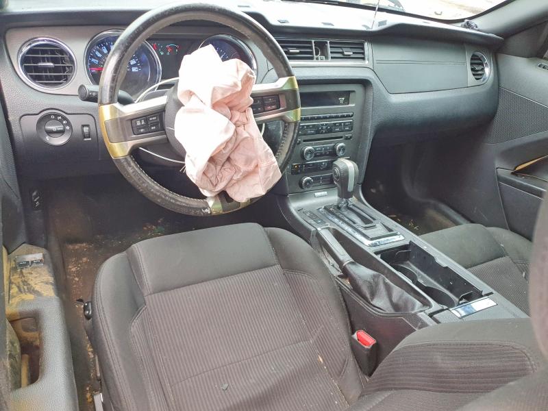 Продаж на аукціоні авто 2014 Ford Mustang, vin: 1ZVBP8AM9E5287916, номер лоту: 54280936