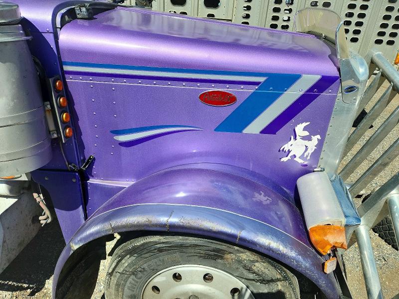 1995 Peterbilt 379 მანქანა იყიდება აუქციონზე, vin: 1XP5LB9XXSD381682, აუქციონის ნომერი: 53818106