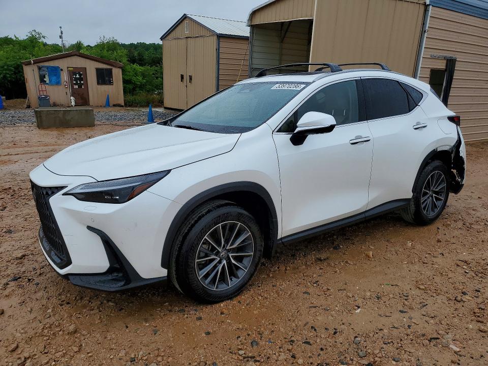 Auction sale of the 2025 Lexus Nx, vin: JTJHGCEZ6S2022578, lot number: 53970286