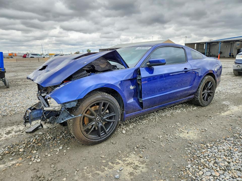 Продажа на аукционе авто 2013 Ford Mustang, vin: 1ZVBP8CF4D5269062, номер лота: 53920056