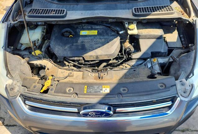 Продаж на аукціоні авто 2014 Ford Escape, vin: 1FMCU0JX2EUB44576, номер лоту: 54648646