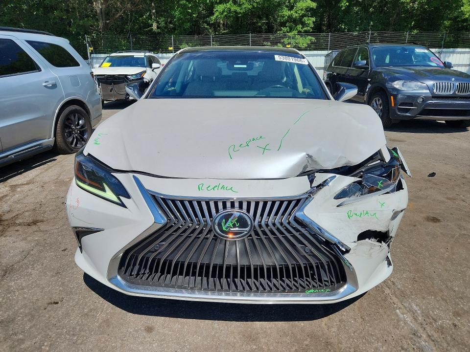 Auction sale of the 2019 Lexus Es, vin: 58ABZ1B13KU007826, lot number: 53801966