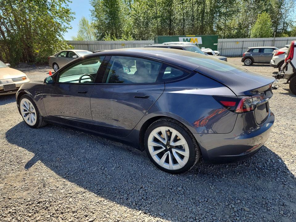 Продаж на аукціоні авто 2022 Tesla Model 3, vin: 5YJ3E1EA1NF304274, номер лоту: 53471626