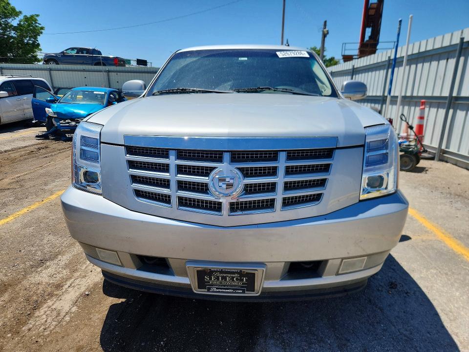 52679286 :رقم المزاد ، 1GYUCCEF9AR216783 vin ، 2010 Cadillac Escalade مزاد بيع