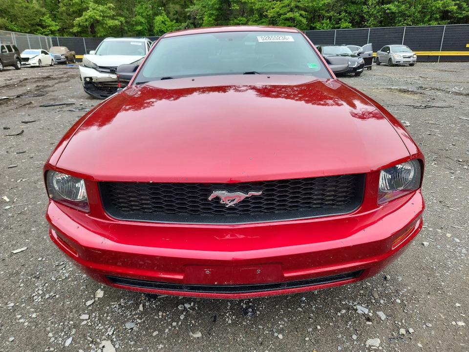 Продаж на аукціоні авто 2005 Ford Mustang, vin: 1ZVHT80N855259881, номер лоту: 52855236