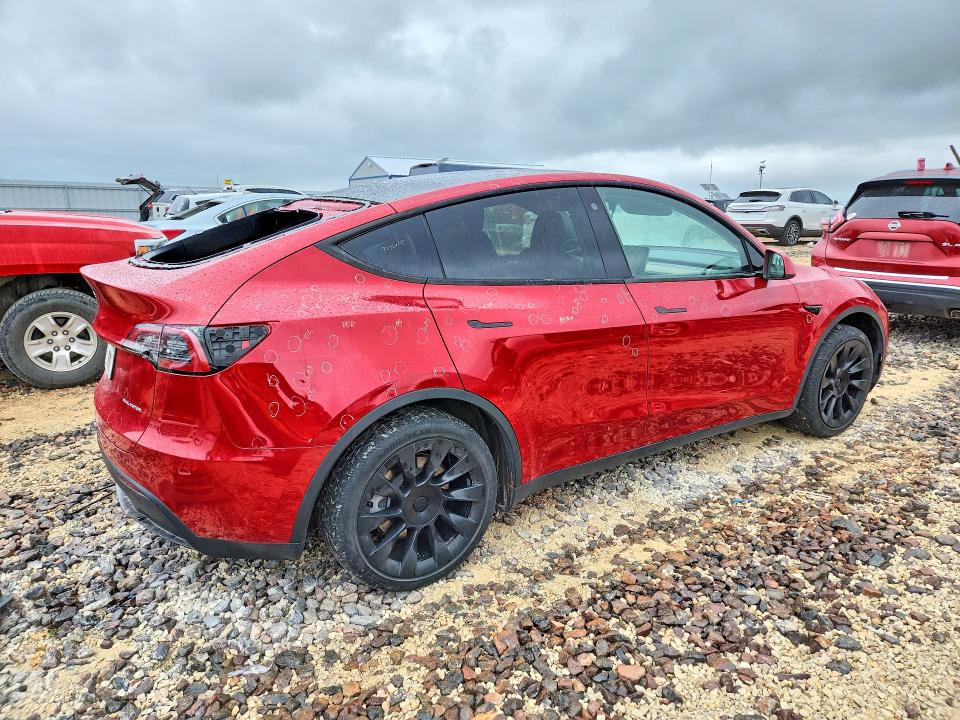 Продаж на аукціоні авто 2023 Tesla Model Y, vin: 7SAYGDEE3PA079797, номер лоту: 54541446