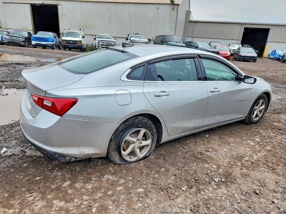 54945396 :رقم المزاد ، 1G1ZB5ST5HF121128 vin ، 2017 Chevrolet Malibu مزاد بيع