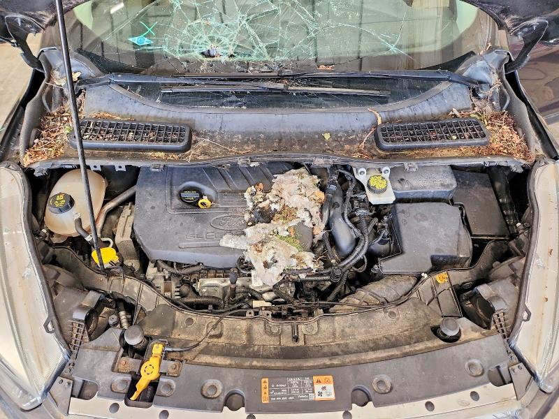 Aukcja sprzedaży 2017 Ford Escape, vin: 1FMCU0GD0HUC20541, numer aukcji: 54111006