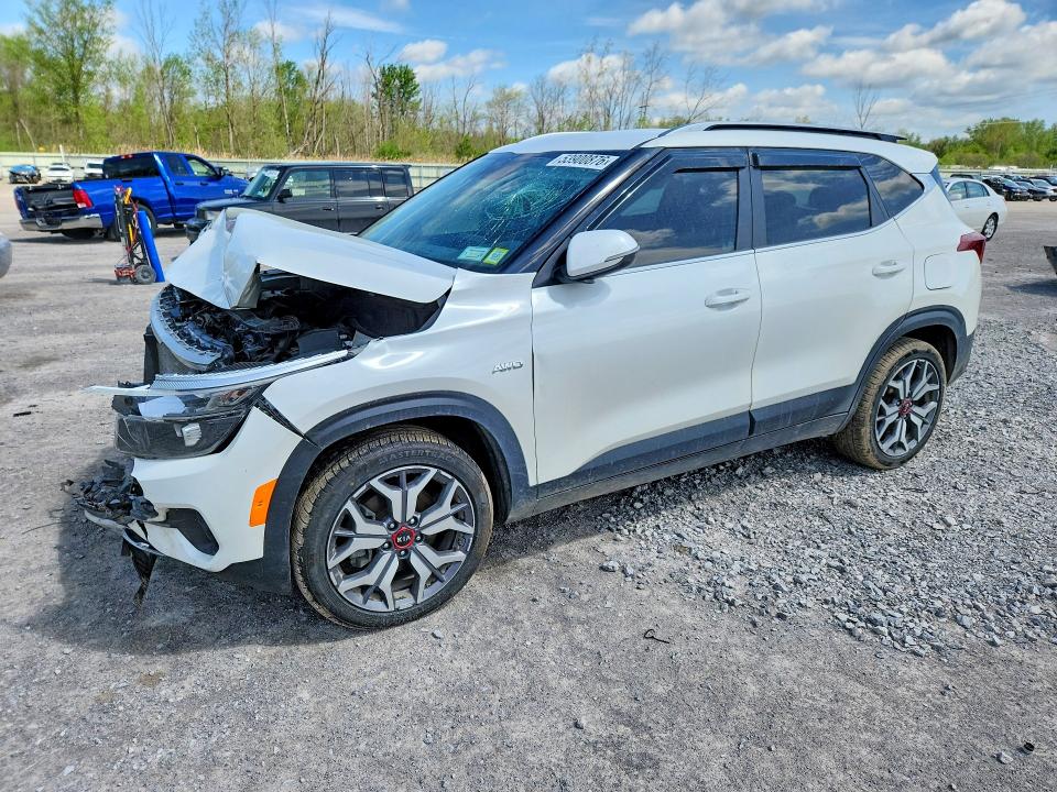 Продаж на аукціоні авто 2021 Kia Seltos, vin: KNDEUCA28M7134943, номер лоту: 53900876