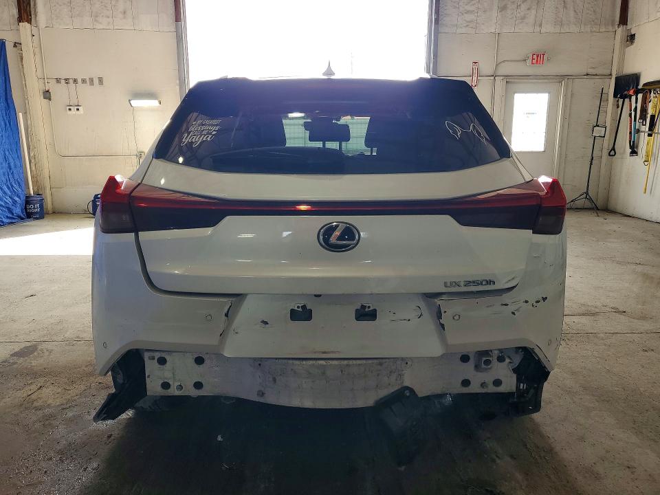 Aukcja sprzedaży 2020 Lexus Ux, vin: JTHP9JBH5L2036433, numer aukcji: 55229706