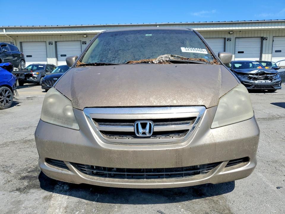 52999486 :رقم المزاد ، 5FNRL38747B130800 vin ، 2007 Honda Odyssey مزاد بيع