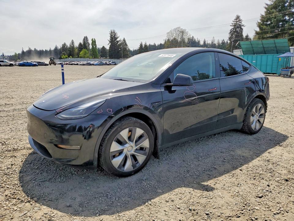 Продаж на аукціоні авто 2024 Tesla Model Y, vin: 7SAYGAEE3RF989115, номер лоту: 52071646