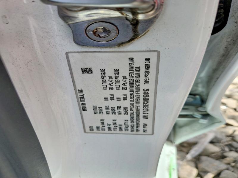 2021 Tesla Model 3 მანქანა იყიდება აუქციონზე, vin: 5YJ3E1EA3MF920492, აუქციონის ნომერი: 54847256