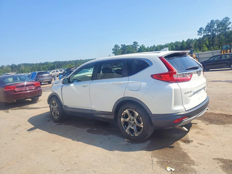 52231406 :رقم المزاد ، 2HKRW1H53KH511834 vin ، 2019 Honda Cr-v مزاد بيع