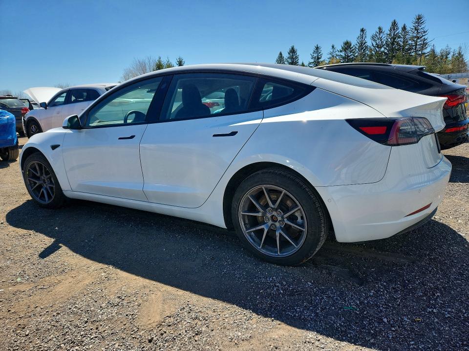 Продажа на аукционе авто 2021 Tesla Model 3, vin: 5YJ3E1EB2MF855191, номер лота: 52890346