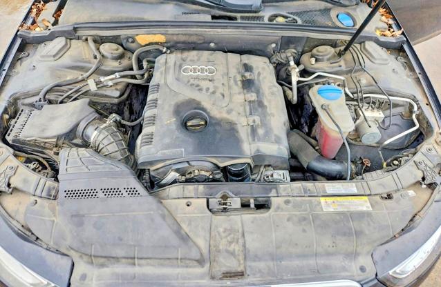 54683146 :رقم المزاد ، WAUFFAFL0DN020383 vin ، 2013 Audi A4 مزاد بيع