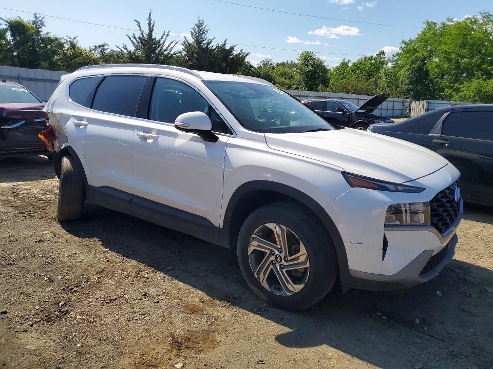 Продаж на аукціоні авто 2023 Hyundai Santa Fe, vin: 5NMS2DAJ7PH488777, номер лоту: 55509446