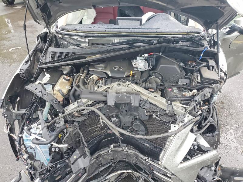 52501596 :رقم المزاد ، JTJDARDZ7M2245509 vin ، 2021 Lexus Nx 300 مزاد بيع