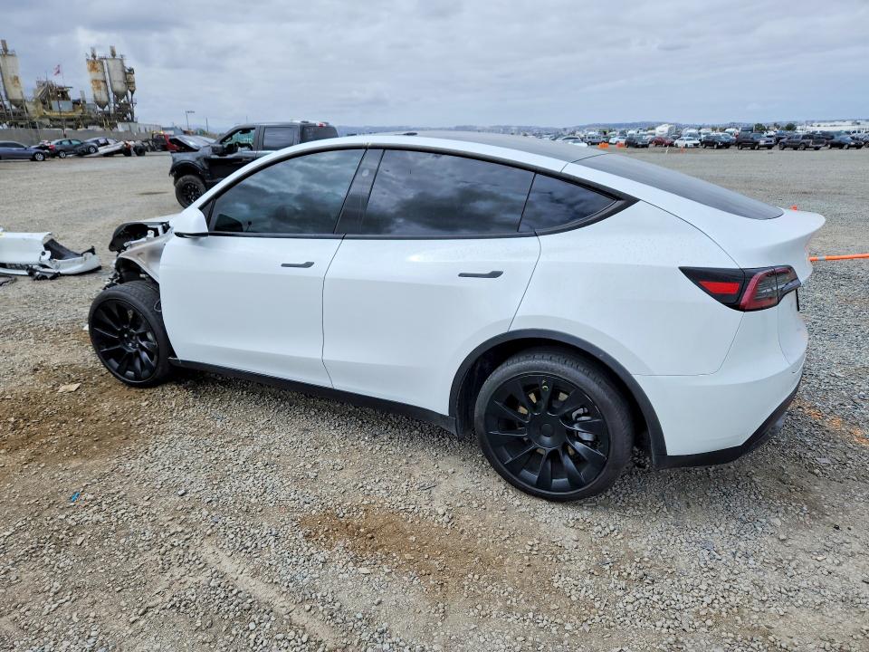 Продажа на аукционе авто 2024 Tesla Model Y, vin: 7SAYGDEE8RF069143, номер лота: 53449866