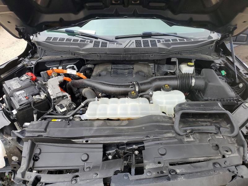 Aukcja sprzedaży 2023 Ford F150, vin: 1FTFW1ED8PFB04351, numer aukcji: 53224416