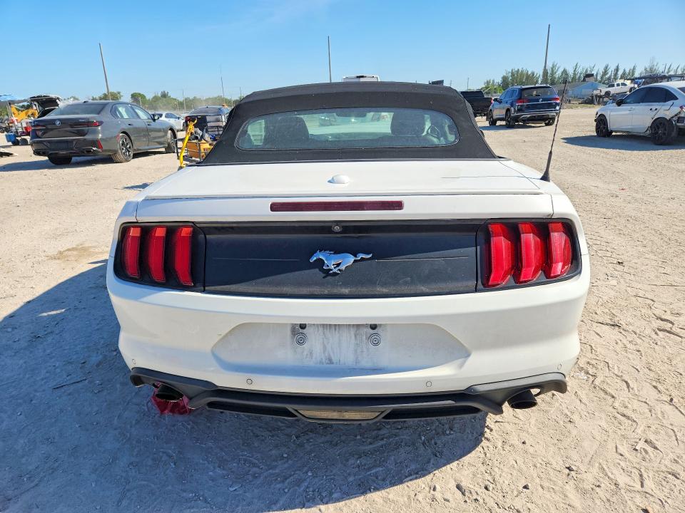 52567776 :رقم المزاد ، 1FATP8UH8M5111773 vin ، 2021 Ford Mustang مزاد بيع