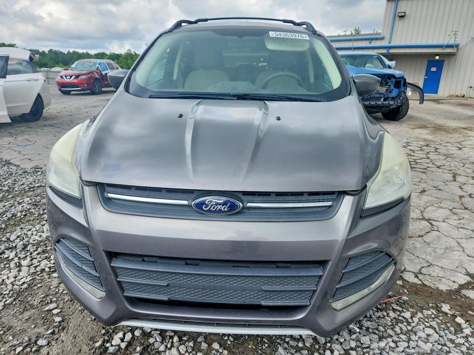 Aukcja sprzedaży 2013 Ford Escape, vin: 1FMCU0GX2DUA51613, numer aukcji: 54363976