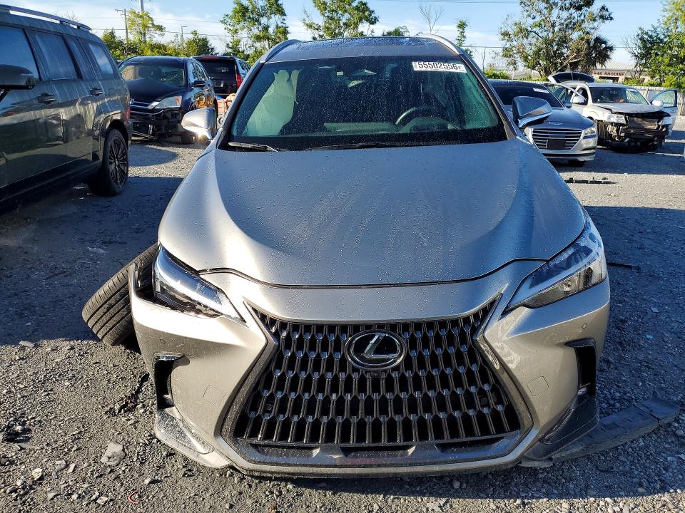 Продажа на аукционе авто 2025 Lexus Nx, vin: 2T2GGCEZ7SC072904, номер лота: 55502556