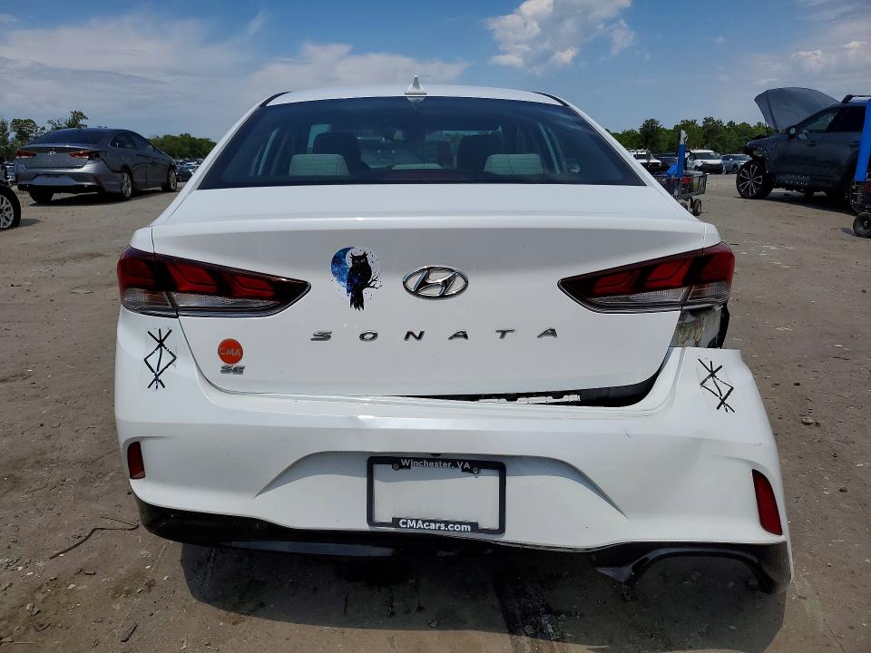53302286 :رقم المزاد ، 5NPE24AF8KH782354 vin ، 2019 Hyundai Sonata مزاد بيع