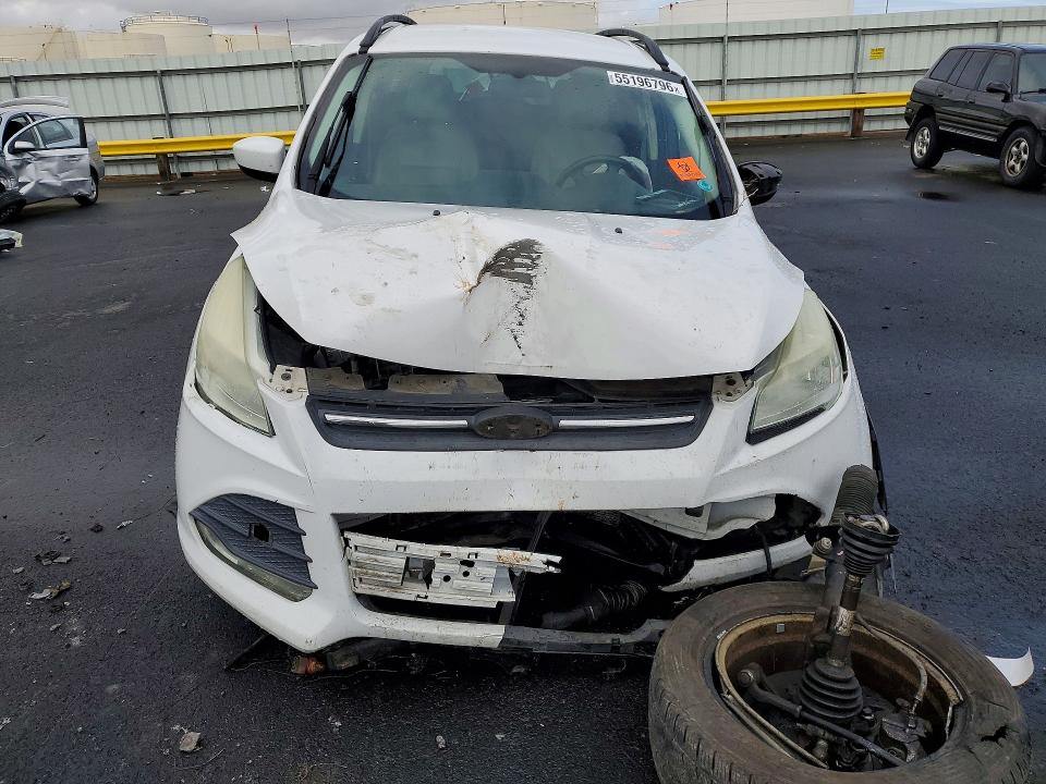 Продаж на аукціоні авто 2014 Ford Escape, vin: 1FMCU0G93EUE01219, номер лоту: 55196796