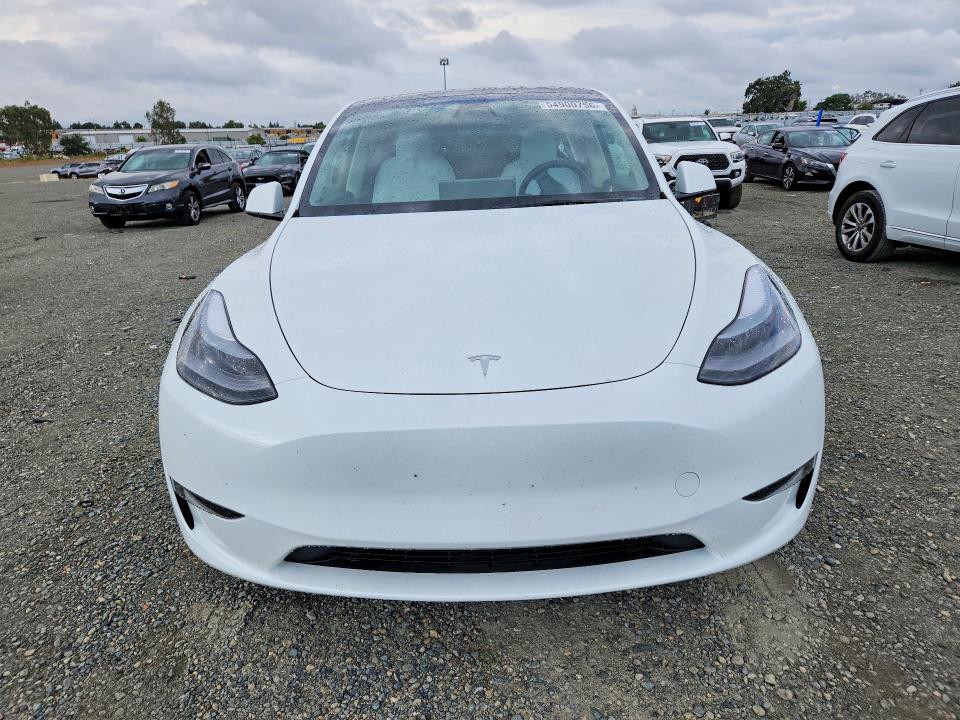 Aukcja sprzedaży 2023 Tesla Model Y, vin: 7SAYGDEE6PF632154, numer aukcji: 54900756