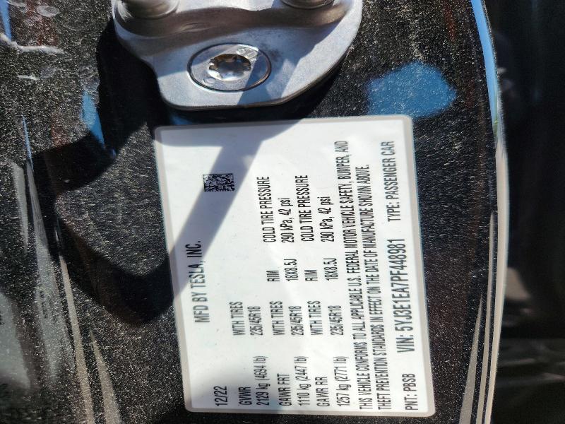 Продаж на аукціоні авто 2023 Tesla Model 3, vin: 5YJ3E1EA7PF448981, номер лоту: 53686806