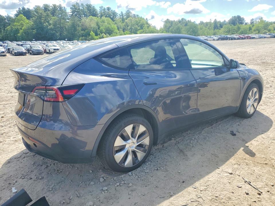 Продаж на аукціоні авто 2023 Tesla Model Y, vin: 7SAYGDEE1PF865889, номер лоту: 53791266