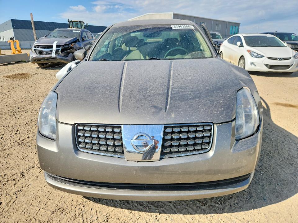Продажа на аукционе авто 2004 Nissan Maxima, vin: 1N4BA41E74C899294, номер лота: 53982506